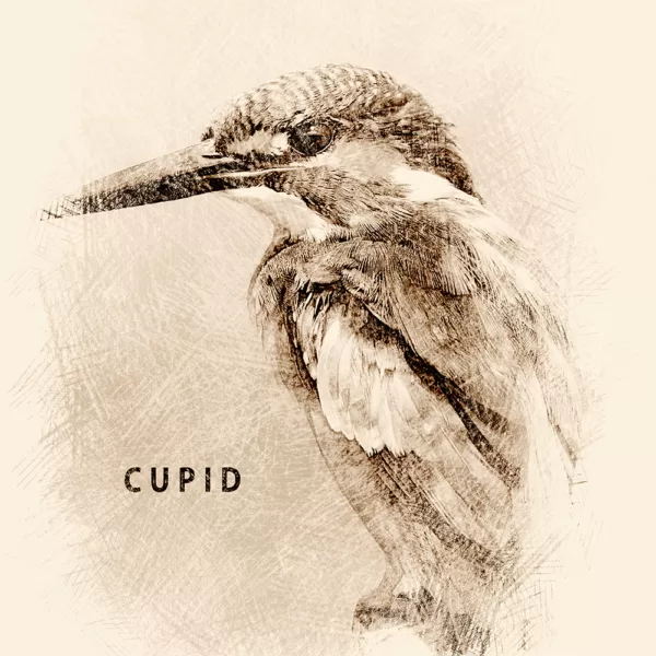 Old Sketch bird